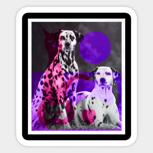 couple dalmatian Sticker